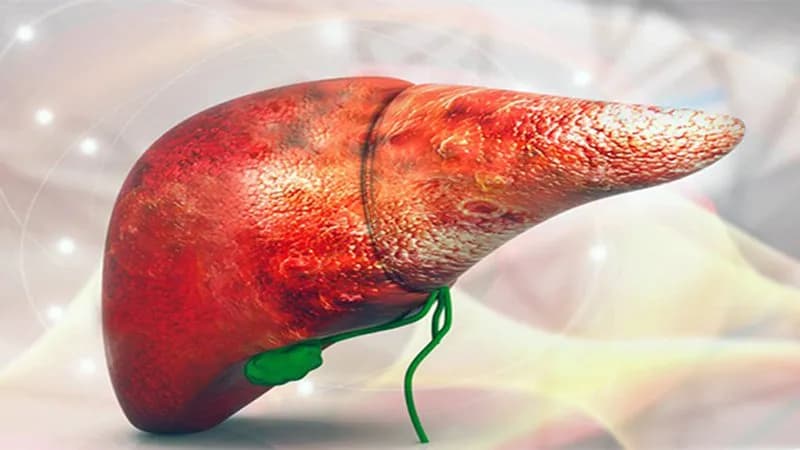 Các nhóm thuốc điều trị rối loạn lipid máu