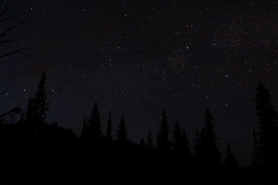 BMI và Phụ Nữ Da Đen: Phân Tích Ưu Điểm, Nhược Điểm và Các Chỉ Số Sức Khỏe Thay Thế