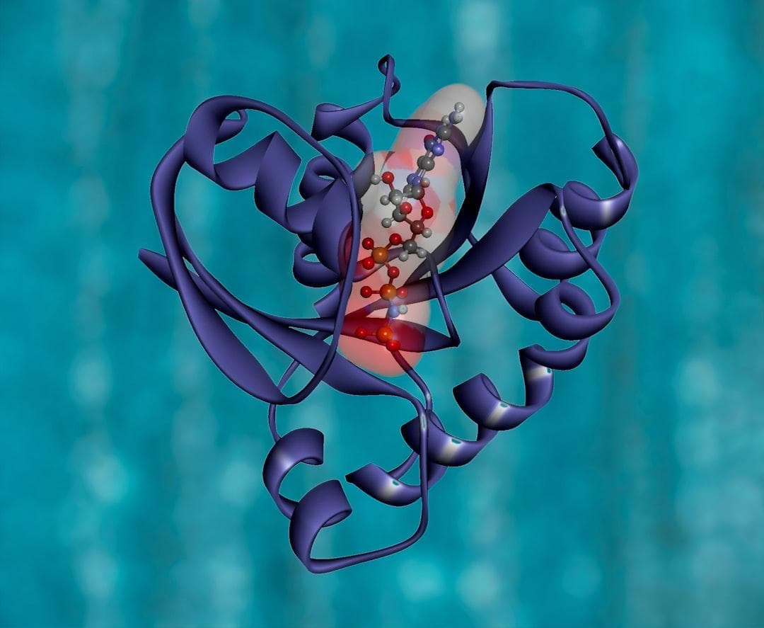 9 Bệnh Tim Mạch Nguy Hiểm Thường Gặp Ở Người Cao Tuổi | BS Phạm Xuân Hậu