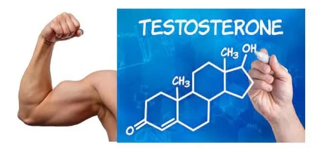 Điều trị suy giảm testosterone cho nam giới cao tuổi