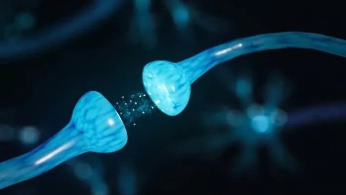 Đặc điểm và chỉ định thuốc tăng co bóp cơ tim