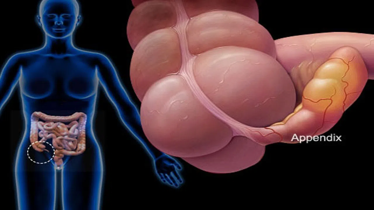 Vùng hạ vị là gì? Vì sao bị đau bụng vùng hạ vị?