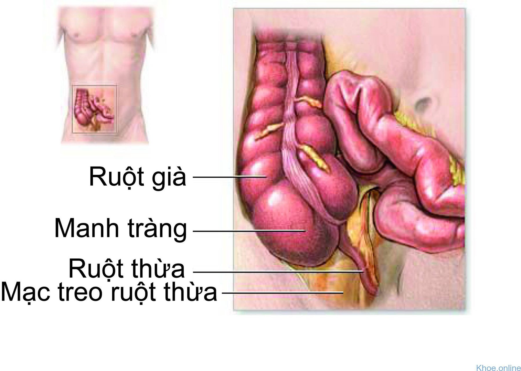 Đau bụng dưới ở nam giới cần lưu ý gì?