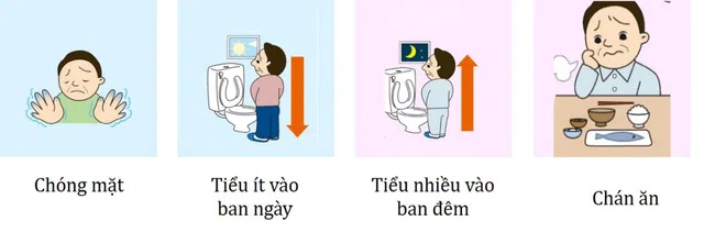 dấu hiệu sớm nhận biết suy tim Chú ý mọi thay đổi của cơ thể để suy tim được chuẩn đoán sớm nhất.